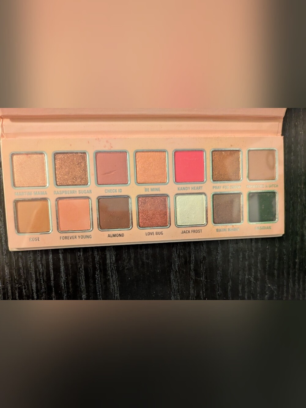 Kylie Jenner Cosmetics Pink Holiday Eye Shadow Palette No Box Slight Damage